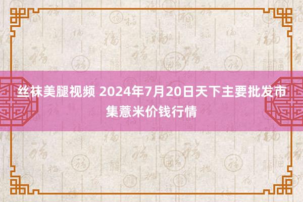 丝袜美腿视频 2024年7月20日天下主要批发市集薏米价钱行情