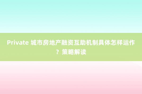 Private 城市房地产融资互助机制具体怎样运作？策略解读