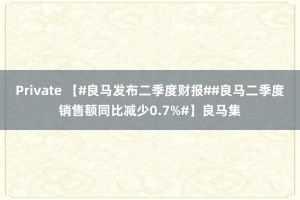 Private 【#良马发布二季度财报##良马二季度销售额同比减少0.7%#】良马集