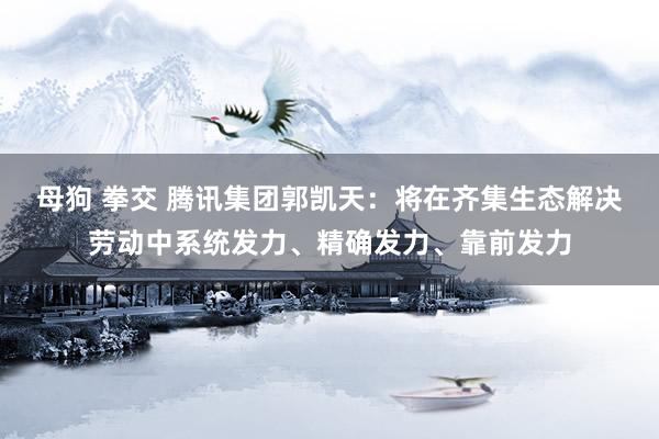 母狗 拳交 腾讯集团郭凯天：将在齐集生态解决劳动中系统发力、精确发力、靠前发力