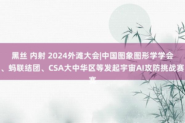 黑丝 内射 2024外滩大会|中国图象图形学学会、蚂联结团、CSA大中华区等发起宇宙AI攻防挑战赛