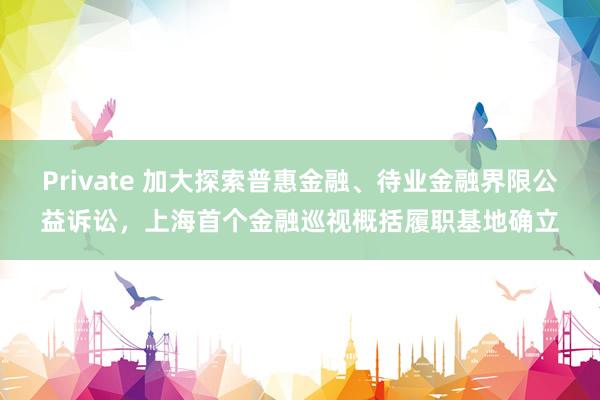 Private 加大探索普惠金融、待业金融界限公益诉讼，上海首个金融巡视概括履职基地确立