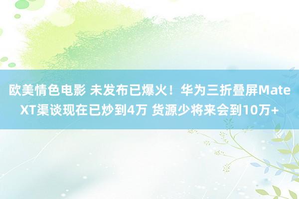 欧美情色电影 未发布已爆火！华为三折叠屏MateXT渠谈现在已炒到4万 货源少将来会到10万+
