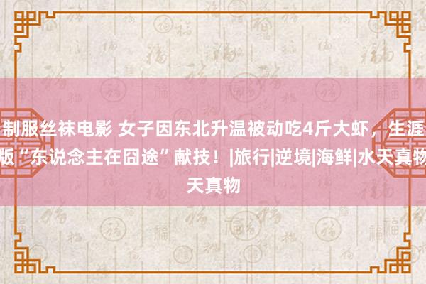 制服丝袜电影 女子因东北升温被动吃4斤大虾，生涯版“东说念主在囧途”献技！|旅行|逆境|海鲜|水天真物