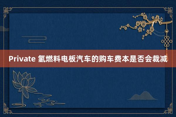 Private 氢燃料电板汽车的购车费本是否会裁减