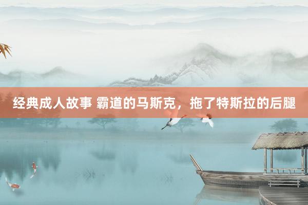 经典成人故事 霸道的马斯克，拖了特斯拉的后腿