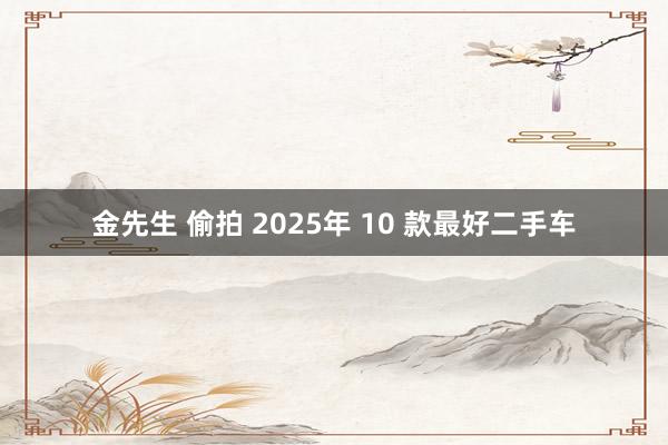 金先生 偷拍 2025年 10 款最好二手车