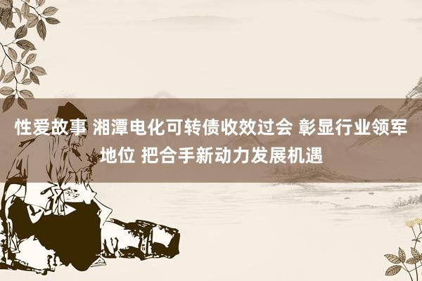 性爱故事 湘潭电化可转债收效过会 彰显行业领军地位 把合手新动力发展机遇