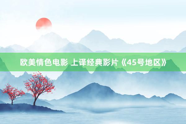 欧美情色电影 上译经典影片《45号地区》